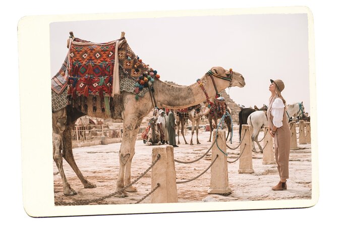 VIP All inclusive Best of Giza Pyramids, Sphinx, Sakkara, Memphis - The Egyptian Museum question: confirm what fits in your exact day
