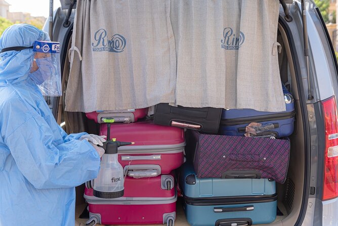 VIP Meet and Assist in Cairo Airport with Private Transfer to Cairo Hotels - Key Things to Know Before You Land