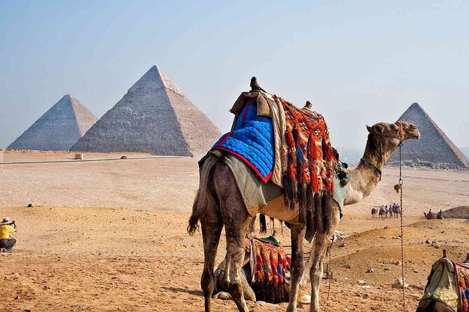 VIP Private Tour Giza Pyramids,Inside Pyramid ,Camel Ride ,lunch - Getting to Giza from Cairo Without the Headache