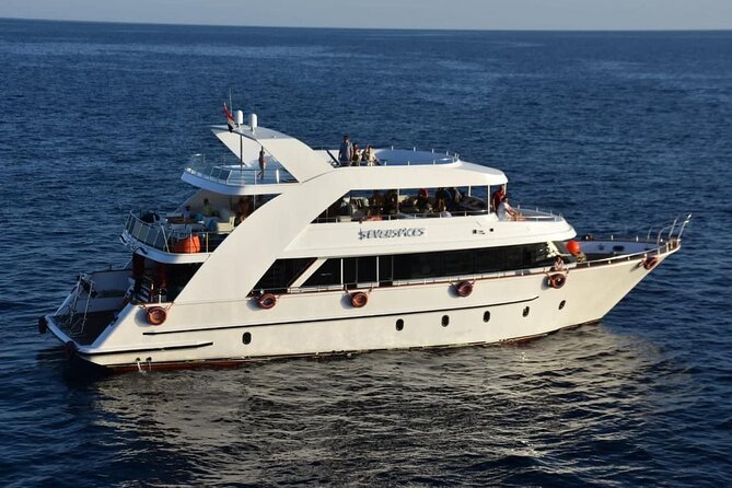 VIP Ras Mohamed and White Island boat trip - Key highlights