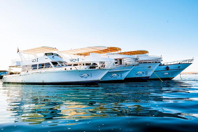 Viva Egypt hurghada Hula Hula Island & Lunch & Water sports 3<em>1 – Key Things to Know Before You Go’ /></p>
<ul>
<li><strong>Two snorkelling chances on the day</strong> so you’re not betting everything on one water stop</li>
<li><strong>Lunch plus soft drinks and bottled water</strong> included, which makes the $30 price feel more realistic</li>
<li><strong>Small group size (max 15)</strong>, so the day moves without feeling like a cattle-call</li>
<li><strong>Snorkelling gear is included</strong>, meaning you can travel lighter</li>
<li><strong>Water sports include banana and quadra</strong>, so you can choose how much thrill you want</li>
<li><strong>Return is around 4:30 pm</strong>, keeping this a true day trip</li>
</ul>
<h2 id="hurghada-hula-hula-day-trip-what-youre-paying-for-at-30">Hurghada Hula Hula Day Trip: What You’re Paying For at $30</h2>
<p><img width="669" height="446" decoding="async" src=