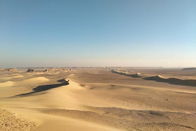 Wadi Al Hitan Day Trip From Cairo - Why Wadi Al-Hitan feels different from a typical tour