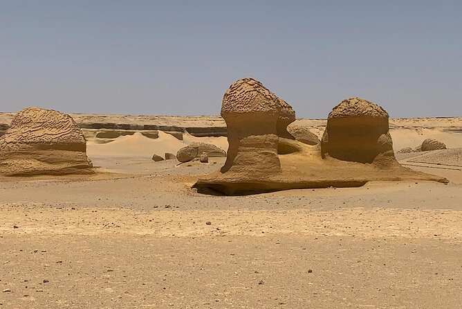 Wadi Al Hitan Day Trip From Cairo - Timing and the long drive from Cairo (and why it matters)