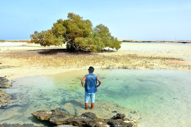 Wady Elgemal National Park Marsa alam - Guides, Smooth Days, and the Human Touch