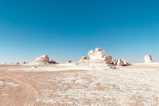White & Black Desert tour 2 Days 1 night camping from Cairo. - White Desert National Park: The Chalk Sculptures (and Where the Wind Shows Off)