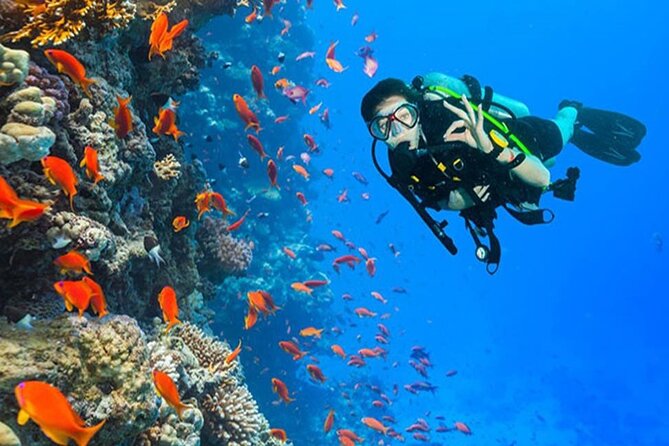 White Island & Ras Mohamed Boat Trip & Diving , lunch from Sharm - Key highlights worth plotting on your map
