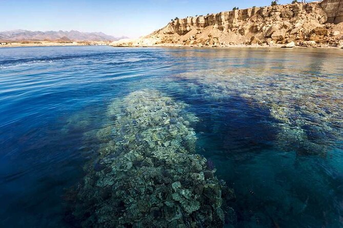 White Island & Ras Mohamed Boat Trip & Diving , lunch from Sharm - Lunch onboard: open buffet comfort in the middle of the day