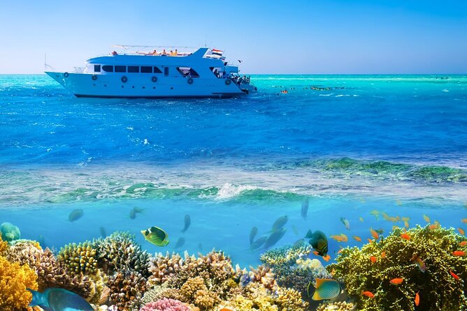 White Island & Ras Mohamed Boat Trip & Diving , lunch from Sharm - Price and logistics: add up the real costs before you go