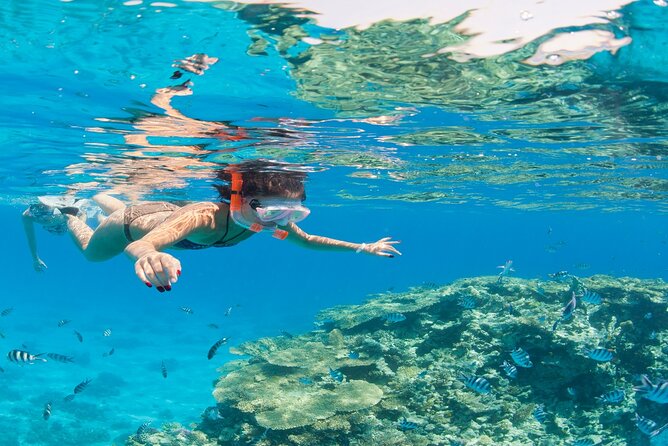 White Island & Ras Mohamed: Full-Day Snorkeling Adventure - Buffet Lunch on Board: Fuel, Convenience, and What’s Included
