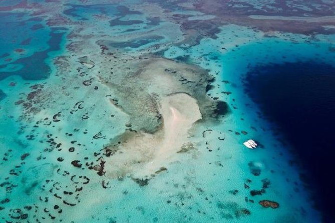 White Island & Ras Mohamed National Park Snorkeling Boat Trip - Red Sea Value: White Island Meets Ras Mohammed in One Shot