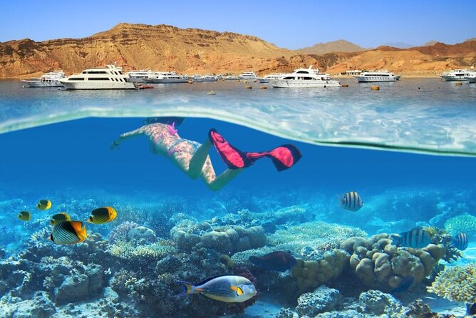 White Island & Ras Mohammed: Full-Day Sea Adventure - Should You Book White Island & Ras Mohammed?